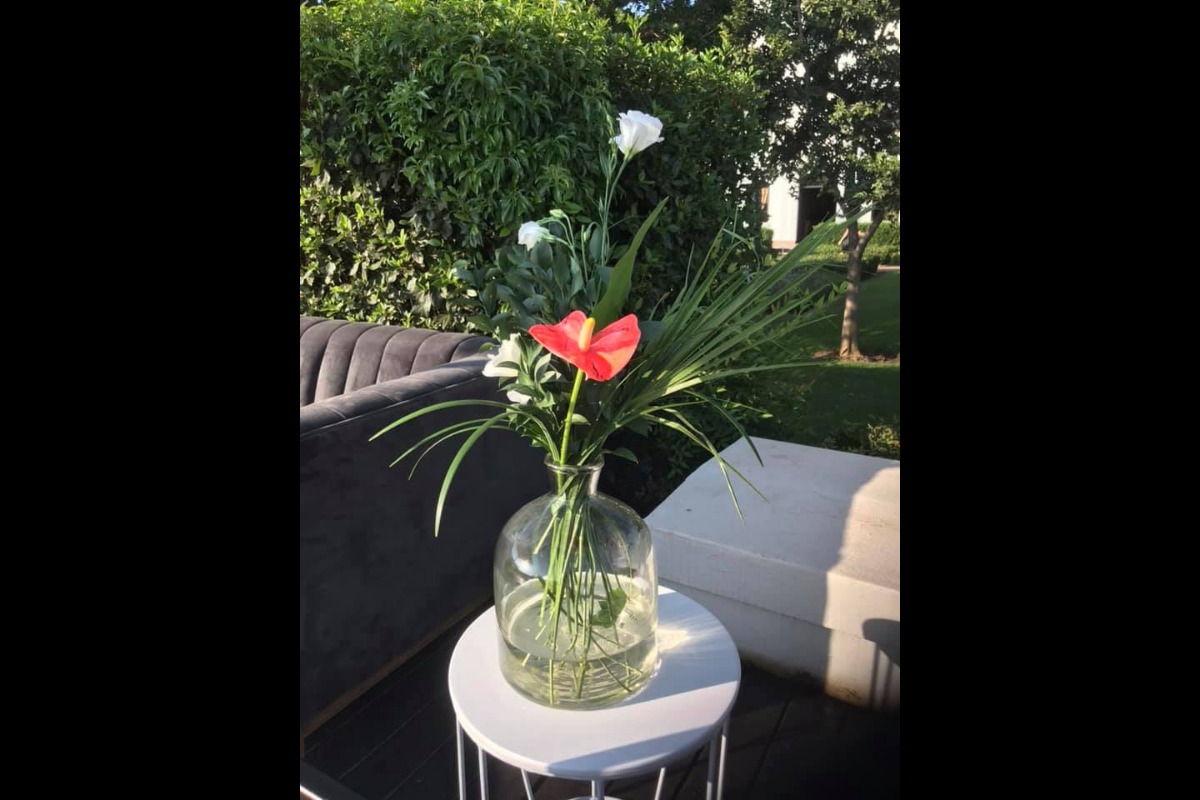 Red and white flower combo in outdoor setting