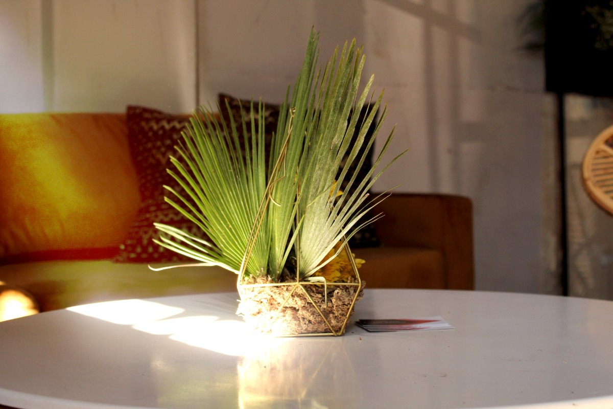 Tropical greenery in woven bowl on table