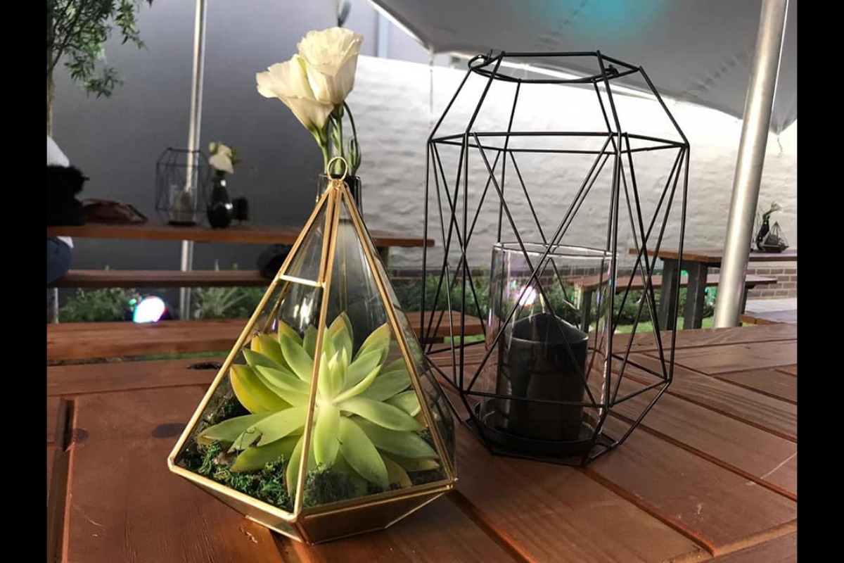 Succulent and floral display in geometric vase